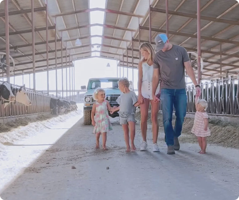 Family of four walking together in a barn with cows in the background