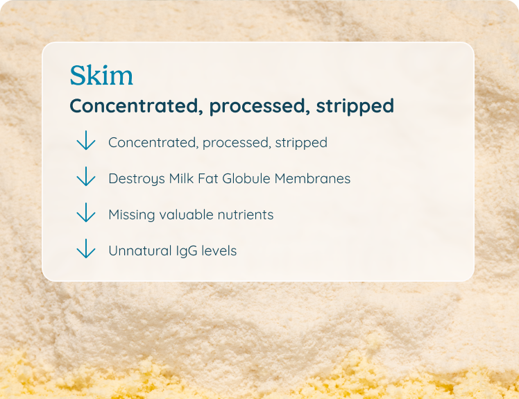 Skim colostrum: concentrated, processed, stripped — destroys milk fat globule membranes, missing valuable nutrients, unnatural IgG levels.