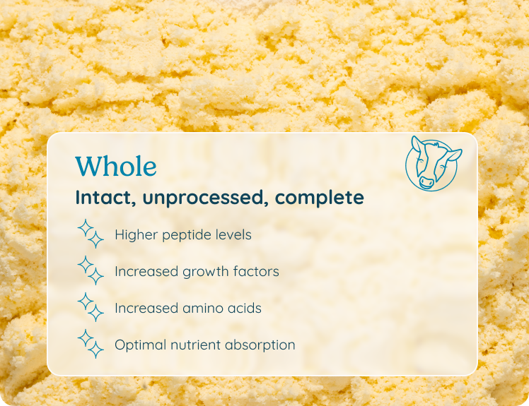 Whole colostrum: intact, unprocessed, complete — higher peptide levels, increased growth factors, increased amino acids, optimal nutrient absorption.