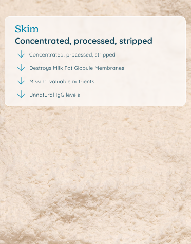 Skim colostrum: concentrated, processed, stripped — destroys milk fat globule membranes, missing valuable nutrients, unnatural IgG levels.