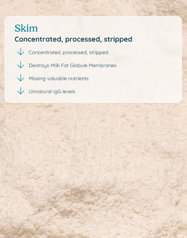Skim colostrum: concentrated, processed, stripped — destroys milk fat globule membranes, missing valuable nutrients, unnatural IgG levels.