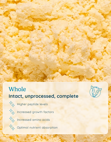 Whole colostrum: intact, unprocessed, complete — higher peptide levels, increased growth factors, increased amino acids, optimal nutrient absorption.